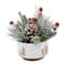 Christmas Mix IN 4.25" Ceramic Reverse Tree Pot